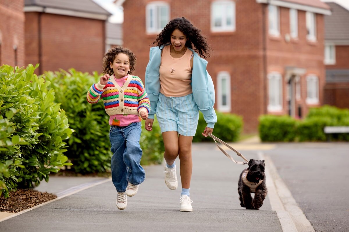 Main Dog Walk Homepage 2