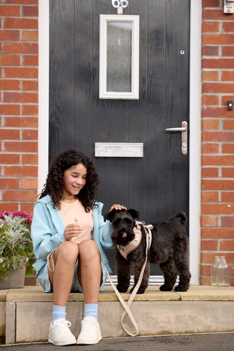 Main Dog door 3